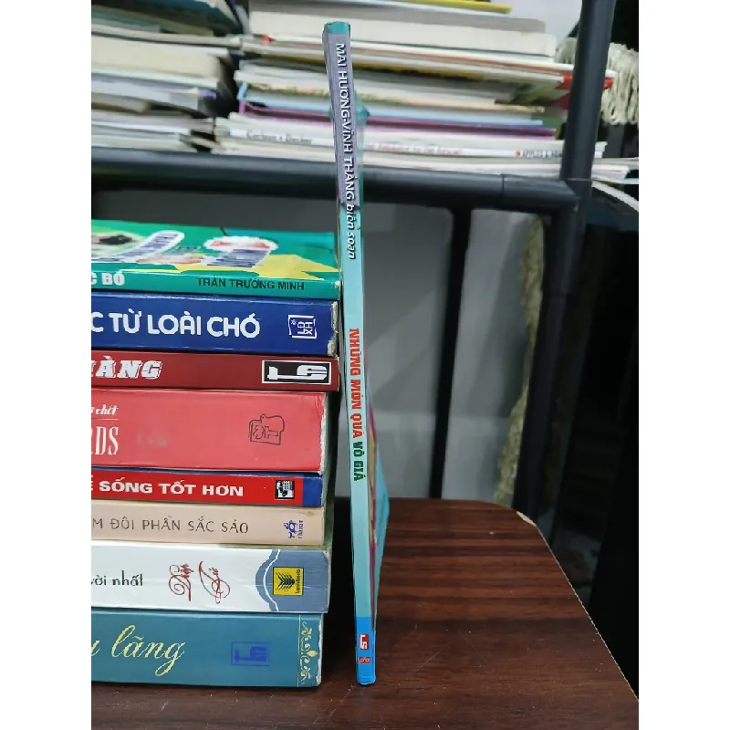 Những món quà vô giá – Mai Hương, Vĩnh Thắng 576146