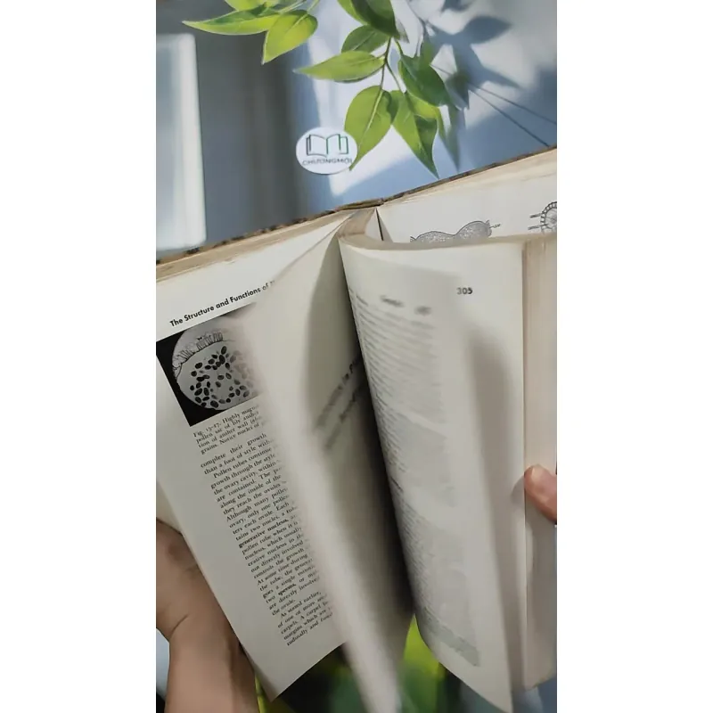 [MIỄN PHÍ BỌC SÁCH] The Plant World - Harry J. Fuller 750801