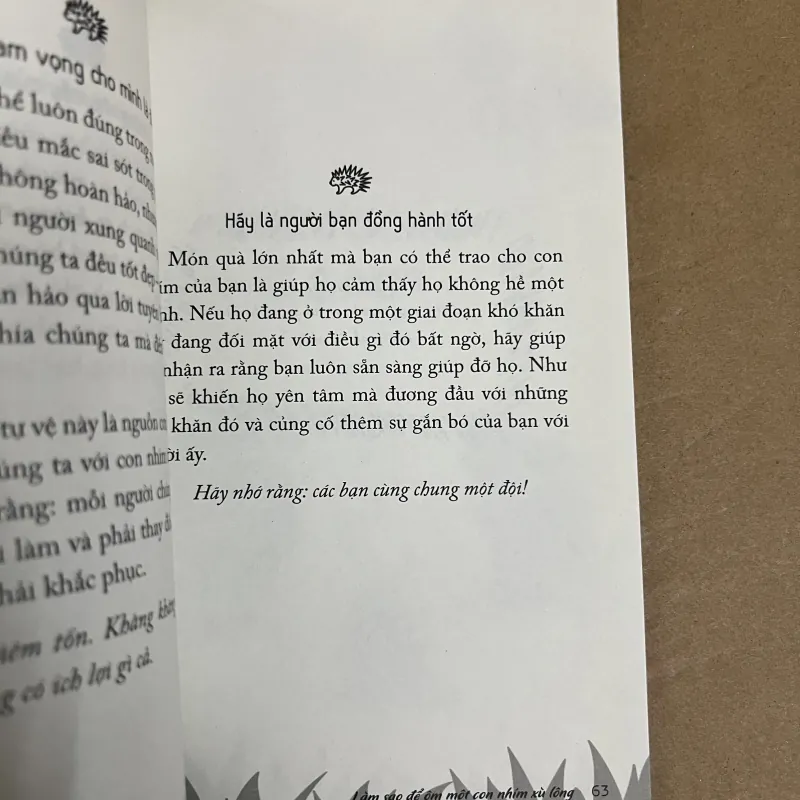 Làm sao để ôm một con Nhím xù lông 1022525