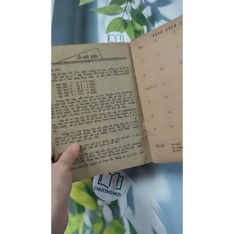 Những Truyện Tích Đầu Tiên Trong Kinh Thánh - Hội Thánh Tin Lành 775990