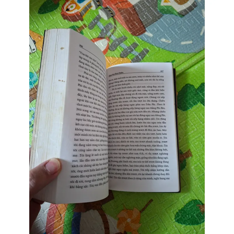 Chơi Vơi Trời Chiều 789862