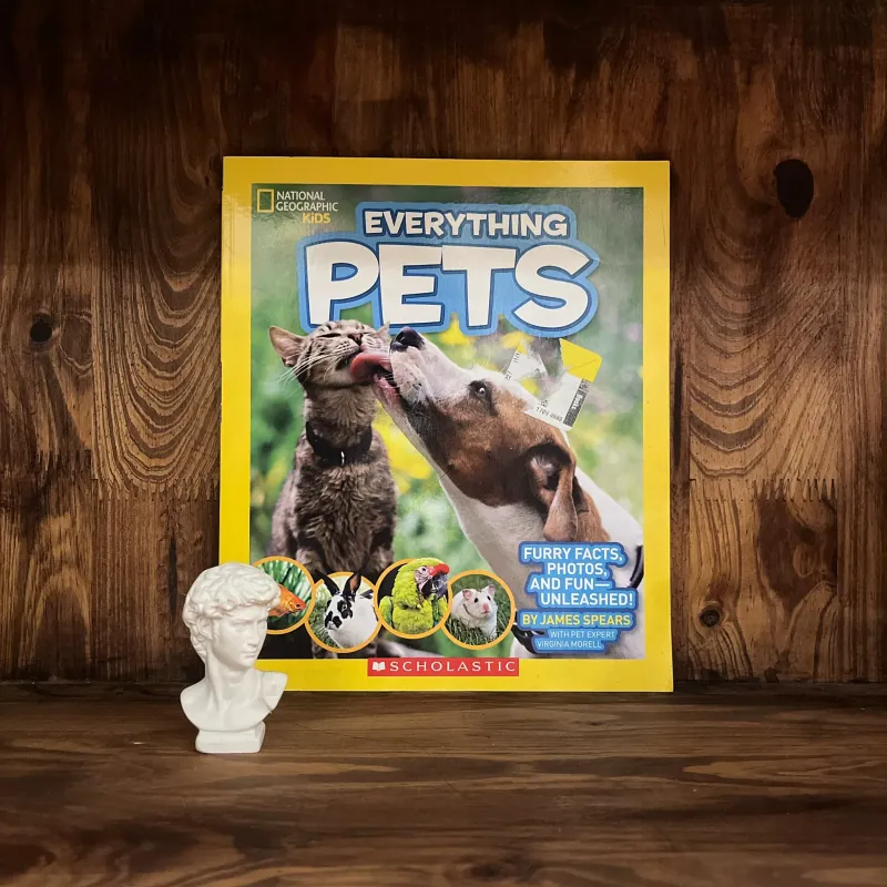 ✨𝑬𝒗𝒆𝒓𝒚𝒕𝒉𝒊𝒏𝒈 𝑷𝒆𝒕𝒔✨ 701627