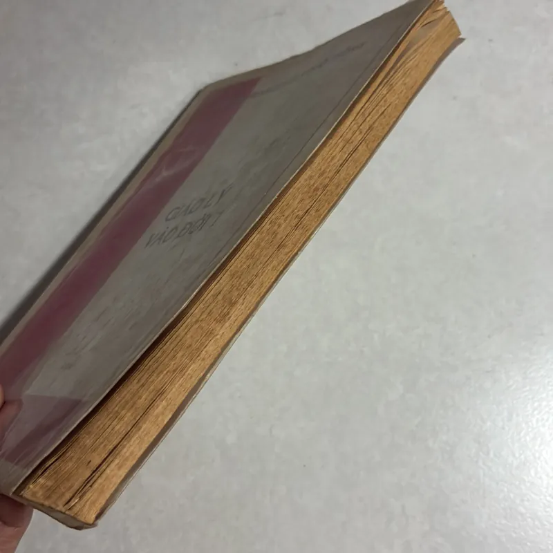 Giáo lý vào đời 1 784776