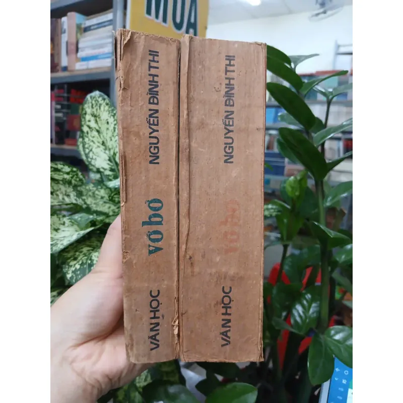 VỠ BỜ - NGUYỄN ĐÌNH THI 1005222