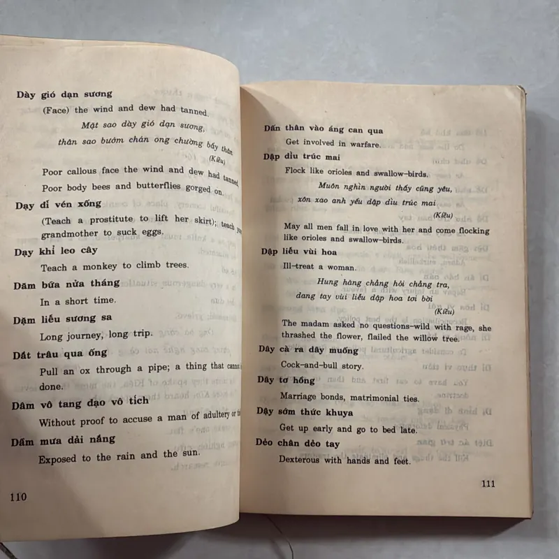 Từ điển thành ngữ - tục ngữ Việt Anh tường giải 721067