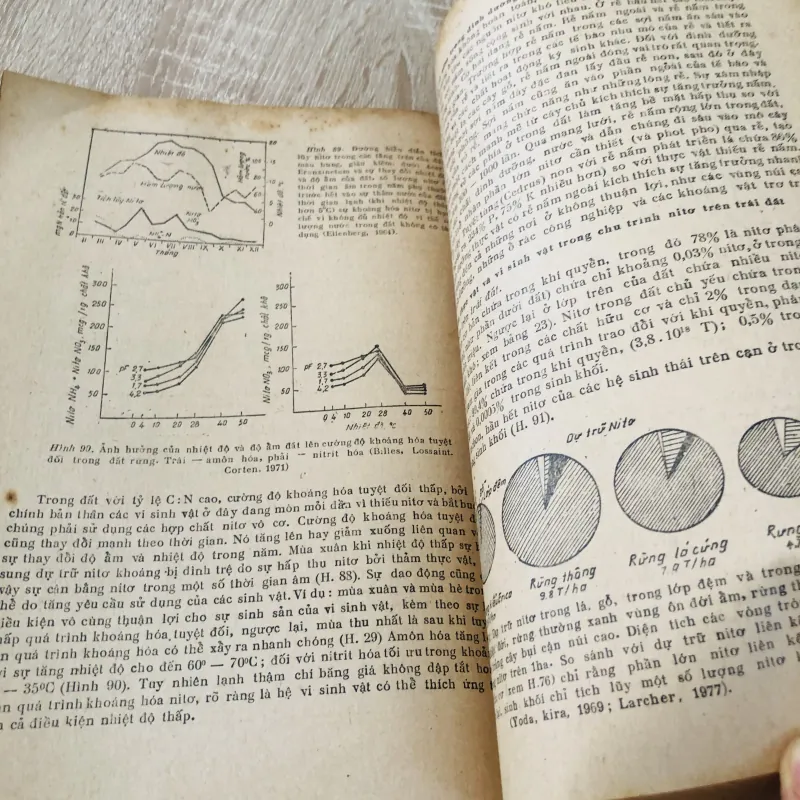 SINH THÁI HỌC THỰC VẬT 956979