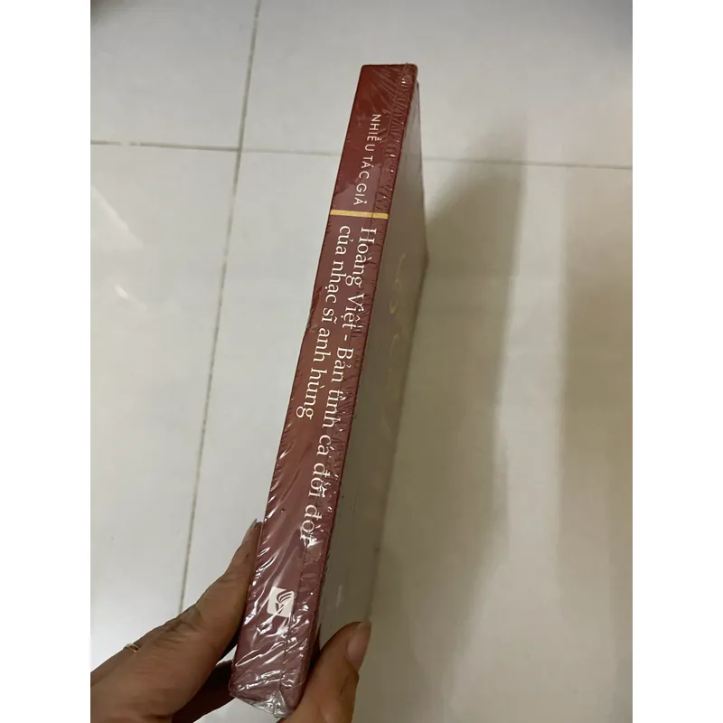 Hoàng việt Bản tình ca đời đời  của nhạc sĩ Anh Hùng 570093