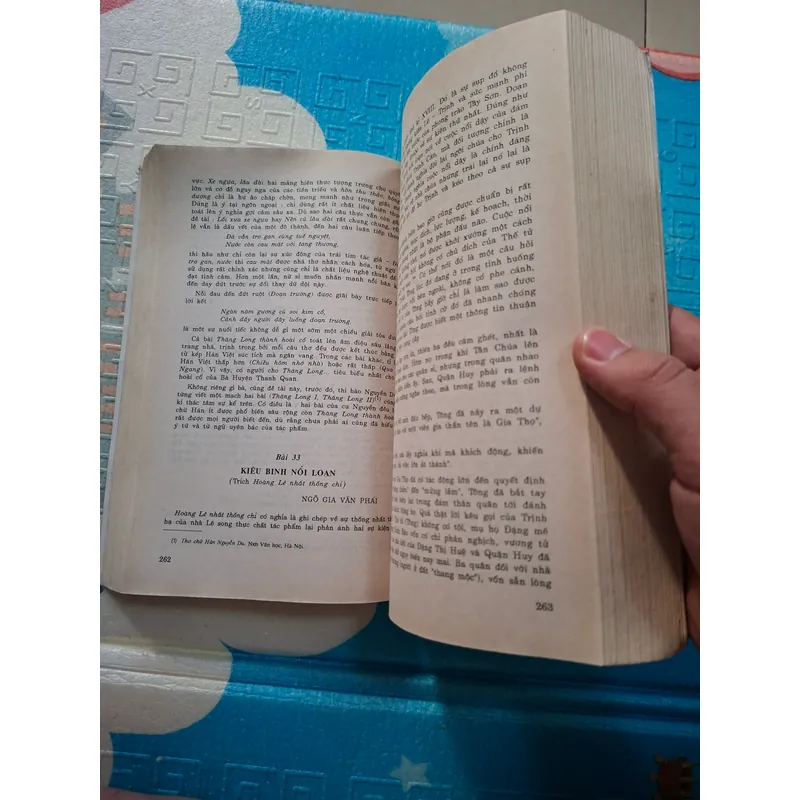 GIẢNG VĂN VĂN HỌC VIỆT NAM 735467