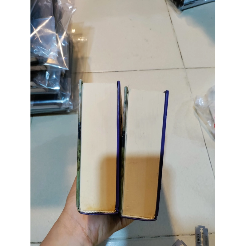 Khu rừng của Aleksandr  507380