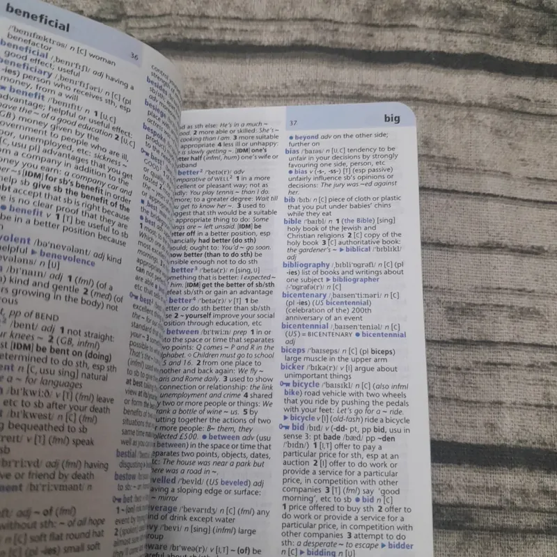 Oxford Learner's Pocket Dictionary 594648