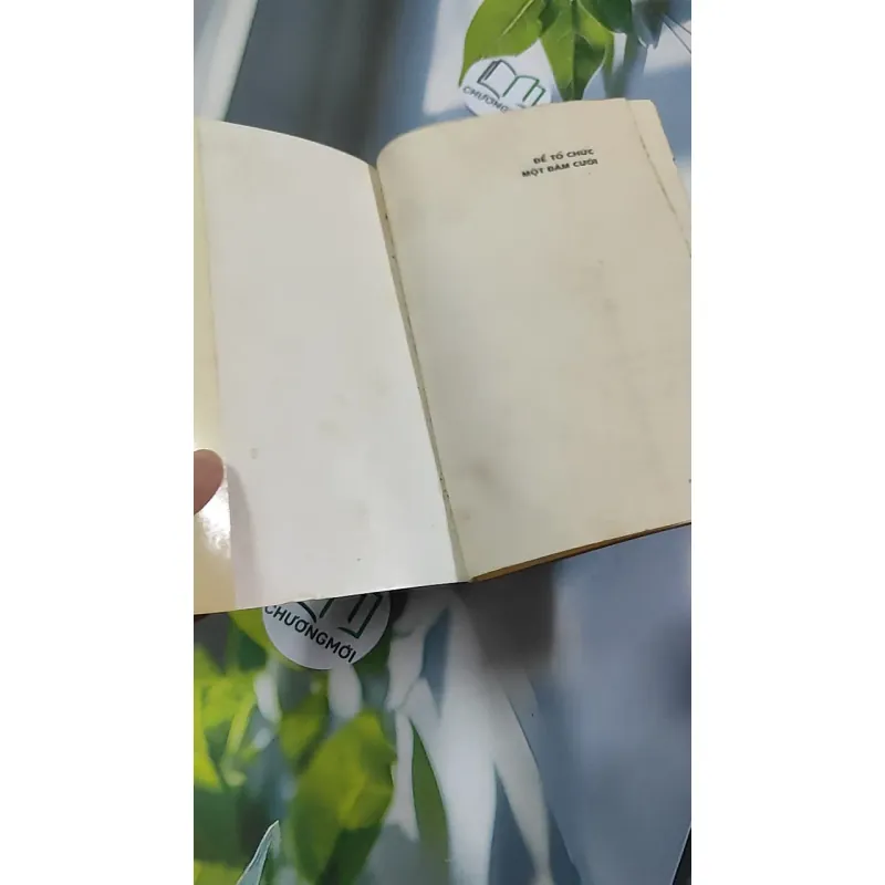 [XƯA] Để Tổ Chức Một Đám Cưới (1994) - Quỳnh Hương 776164