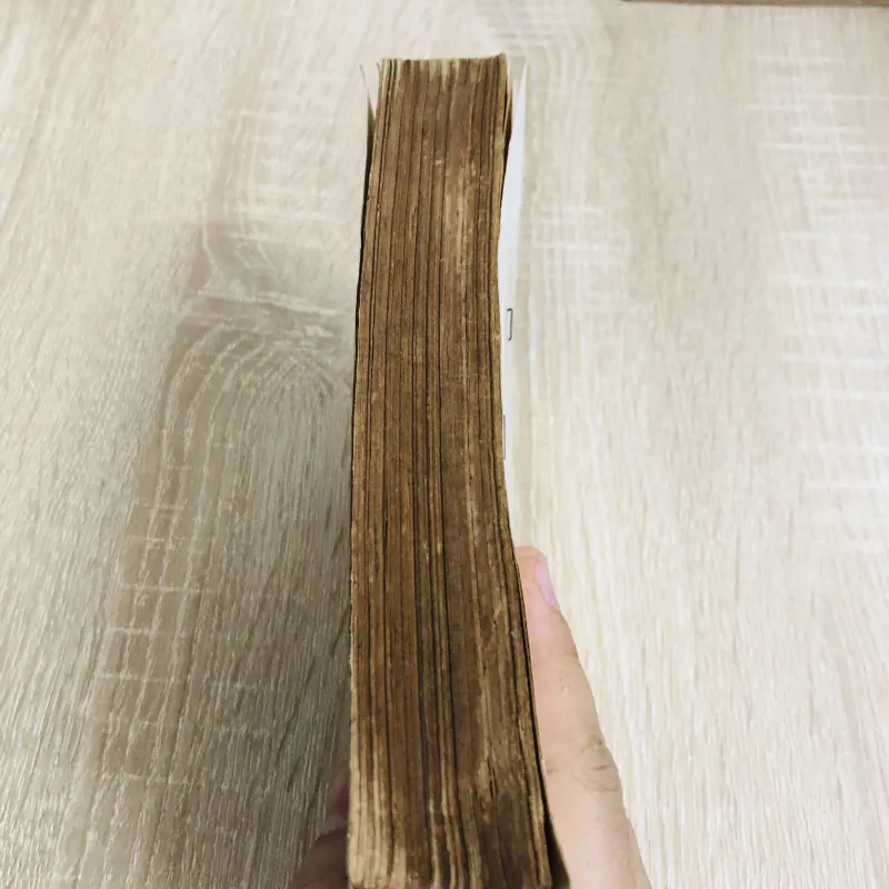 CHỈ CÒN LẠI TÌNH YÊU – George Sand 960028