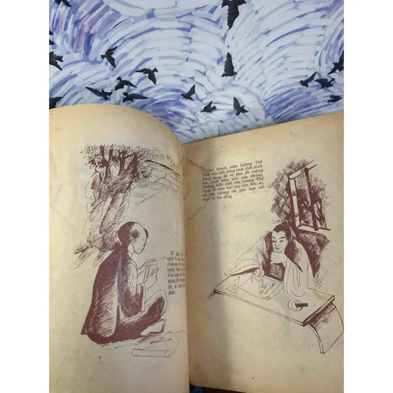 Trạng Lường 927563