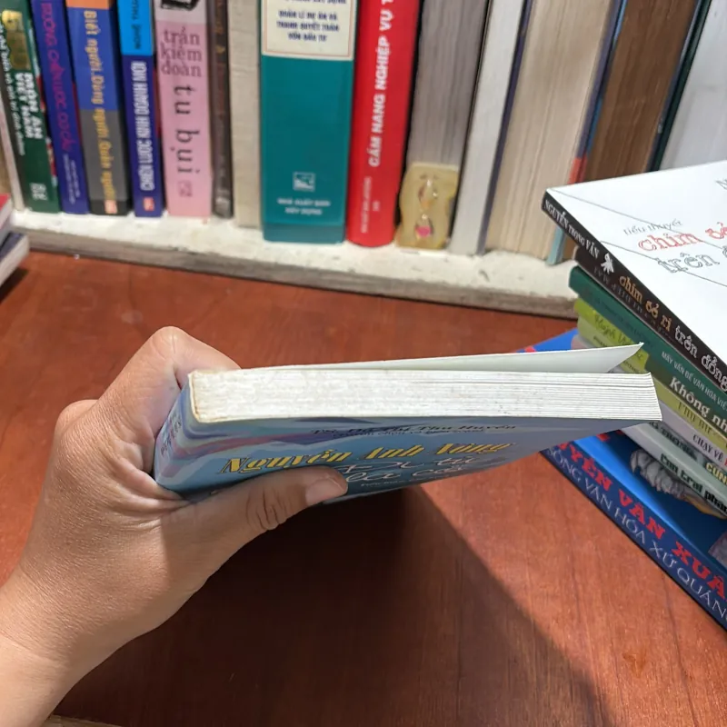 II Tiểu Luận, Phê Bình: Nguyễn Anh Đông _ Đi Từ Miền Lá Cỏ - TS. Đỗ Thị Thu Huyền - 2013 786222