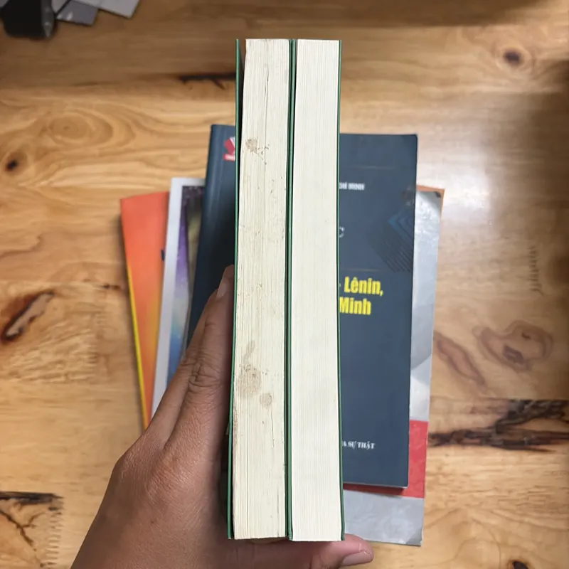 II Tiểu Thuyết: Búp Sen Xanh - Sơn Tùng - 2023 702642