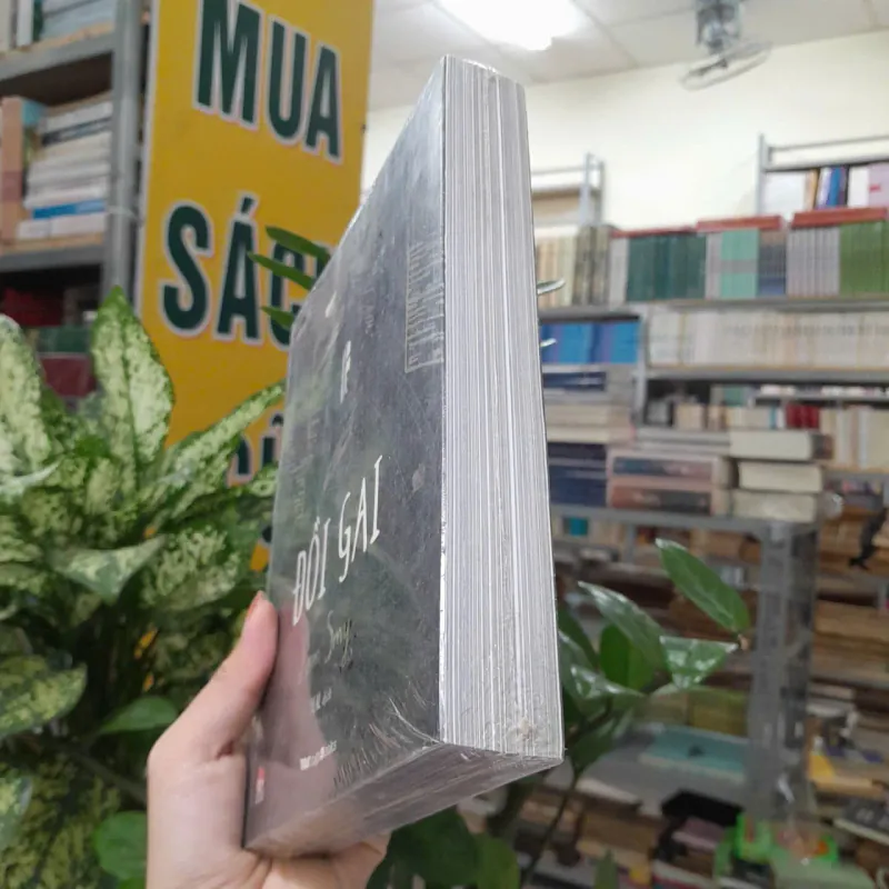 ĐỒI GAI - PAM SMY (SEAL DỊCH) 1005657