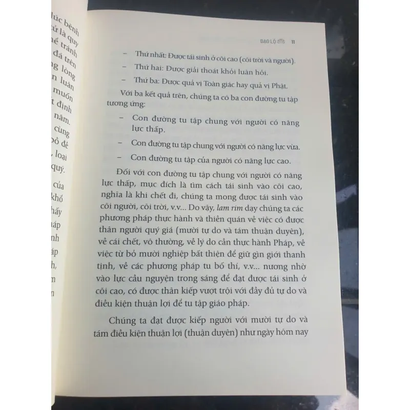 Đạo Lộ - Đường Đến Chân Hạnh Phúc - Tôn Sư Lama Thamthog Rinpoche 736877