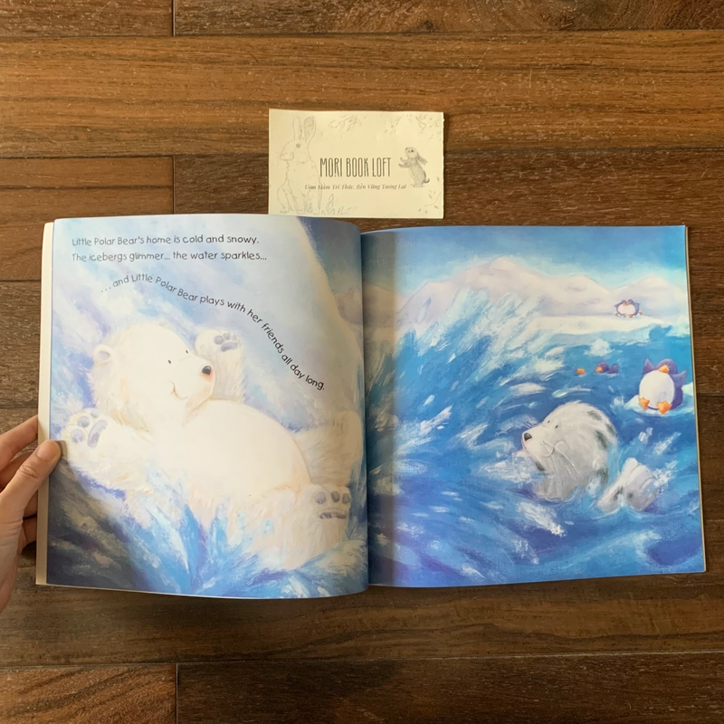 Sách ngoại văn Bear's Magic Moon, Used 423002