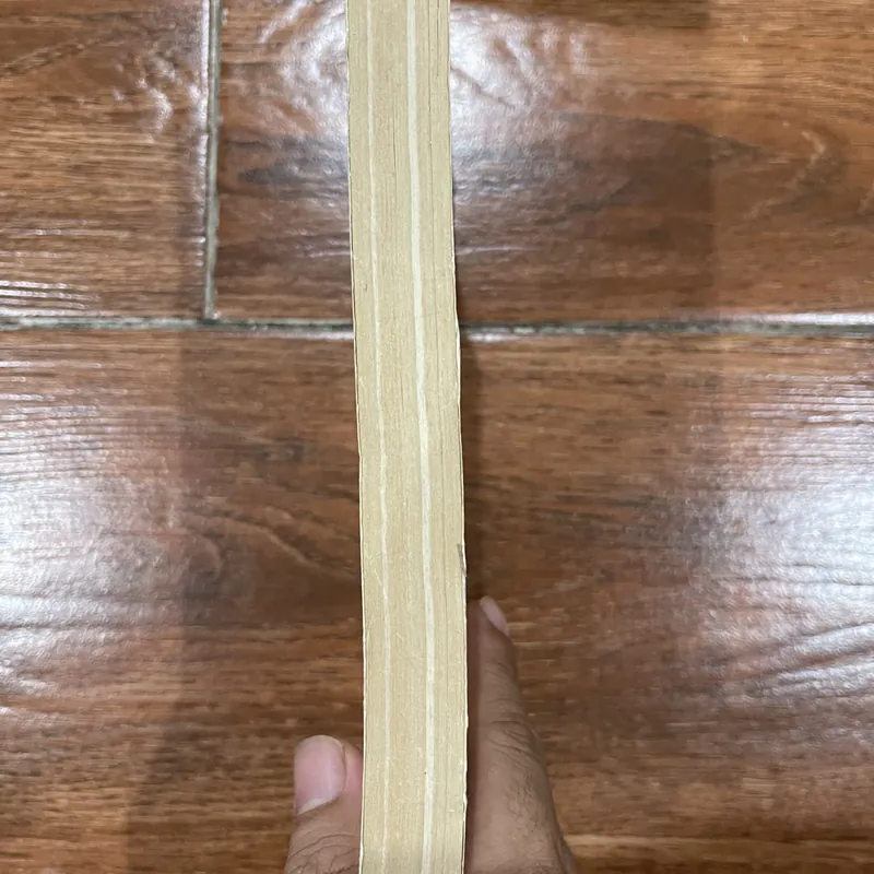 Thi pháp Truyện Kiều - Trần Đình Sử (8) 577546