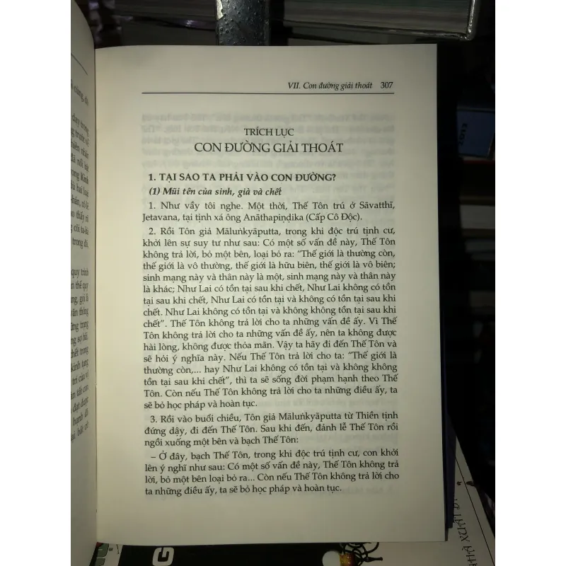 Những lời Phật dạy - Tỳ khưu Bodhi 1003461