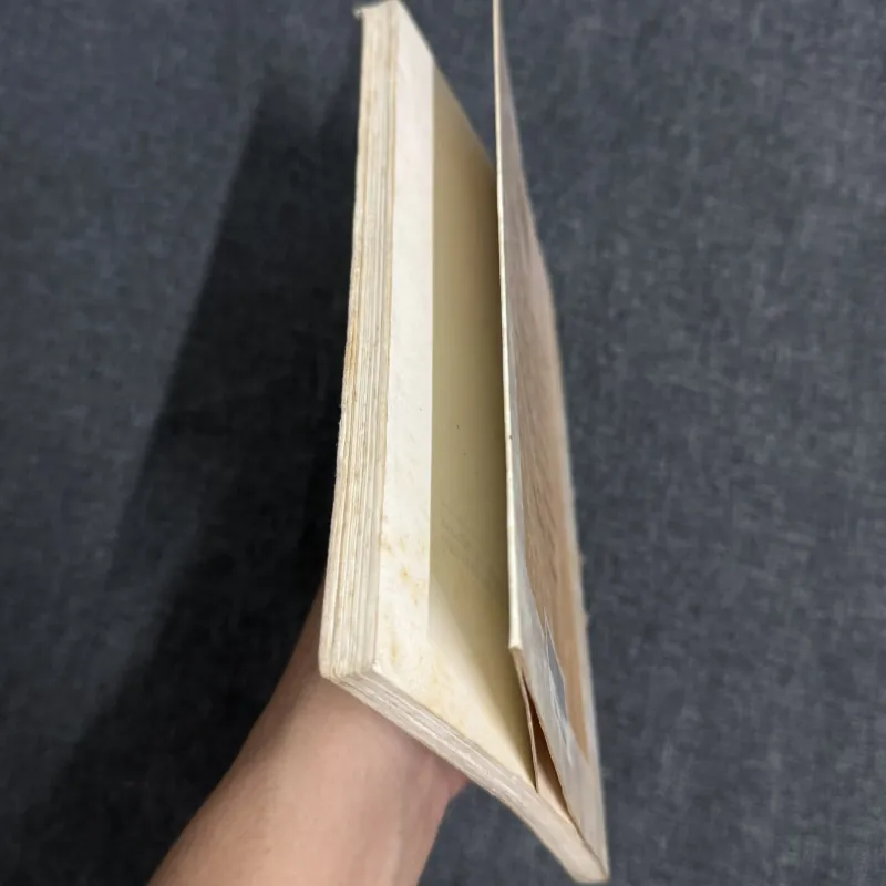 Con chim trốn tuyết - Paul Gallico 789679