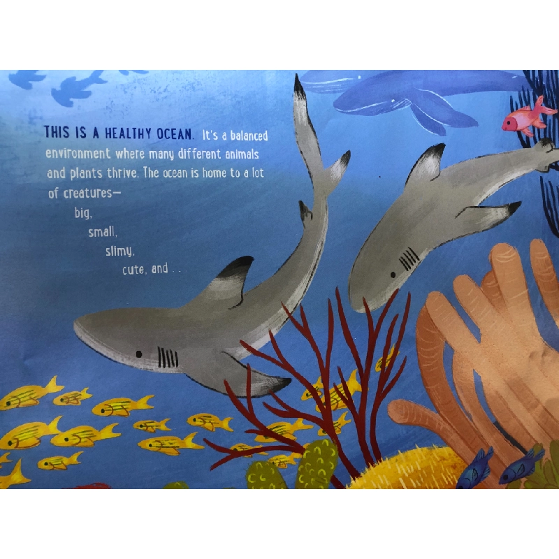 If Sharks Disappeared BÌA CỨNG mới 85% bẩn nhẹ Lily Williams HPB2607 NGOẠI VĂN 458737