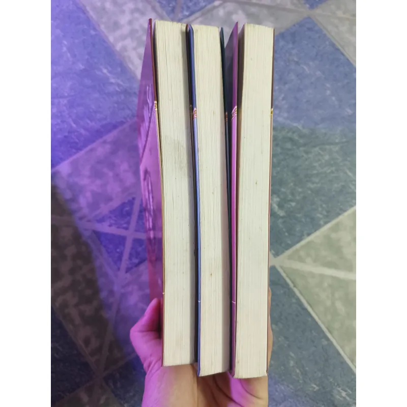 Hai mươi năm sau ( 3 tập) - Alếchxăng Đuyma 588321