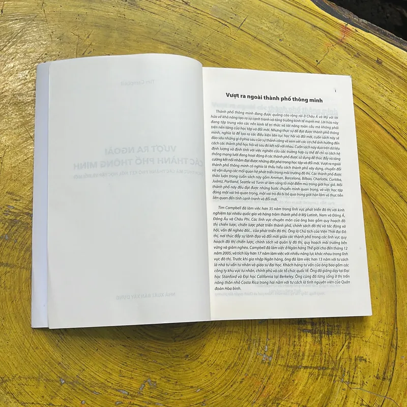 VƯỢT RA NGOÀI CÁC THÀNH PHỐ THÔNG MINH- TIM CAMPBELL 674344