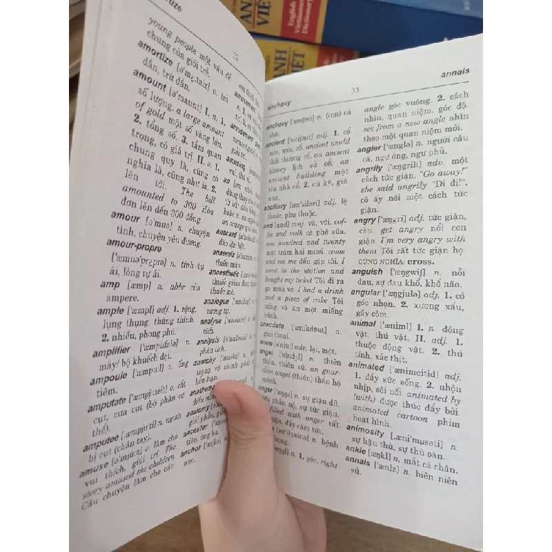 Từ điển Anh-Việt - Bùi Phụng 521222