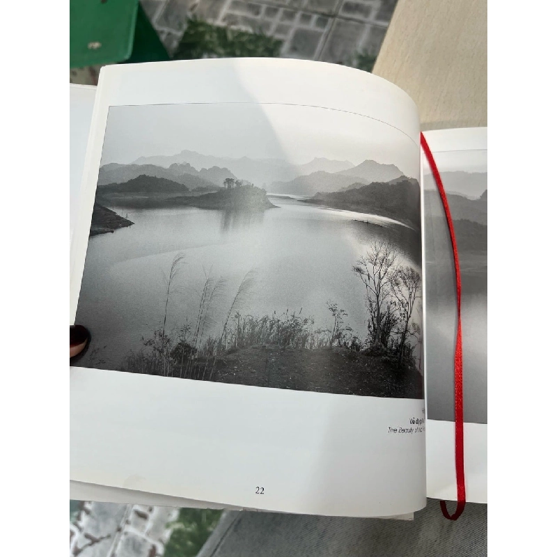 hải âu 2018 752032