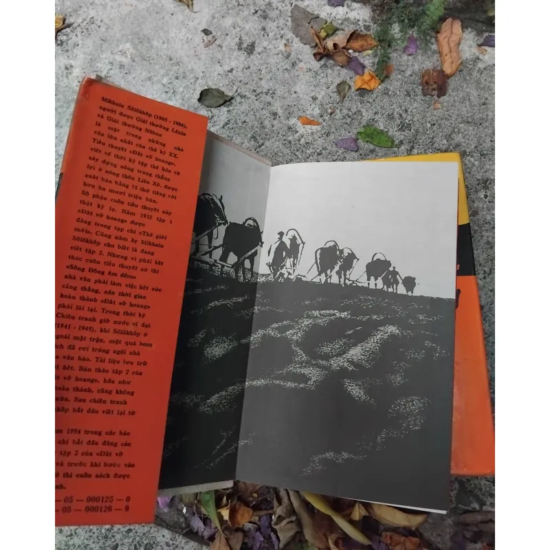 Đất vỡ hoang của Mikhail Solokhov 1031382