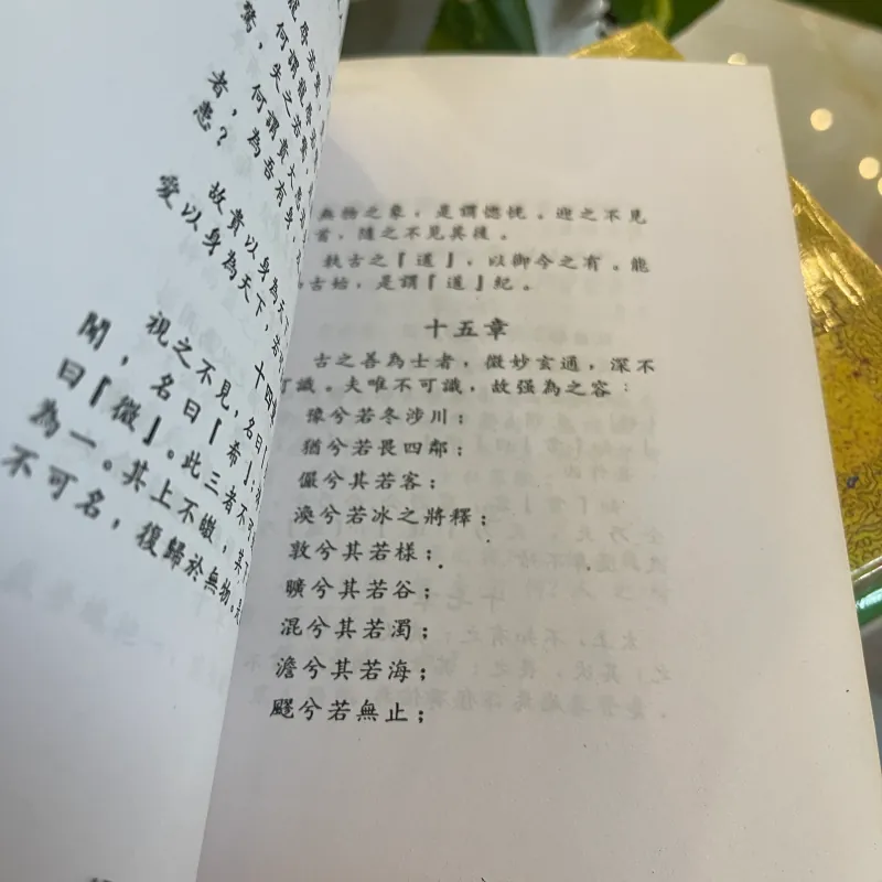 NGỘ NHẬN TÍNH BI QUAN TRONG LÃO TỬ ĐẠO ĐỨC KINH - VIÊN MINH  1030594