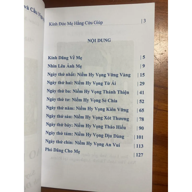 Suy niệm và cầu nguyện kính Đức Mẹ Hằng Cứu Giúp 732969