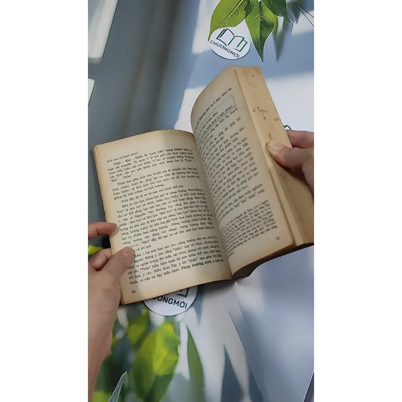 [XƯA] 6 Bí Quyết Dưỡng Sinh Người Có Tuổi (1994) 776147