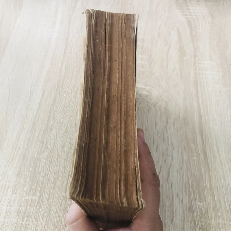 Từ điển Học Sinh (Cấp II) 933237