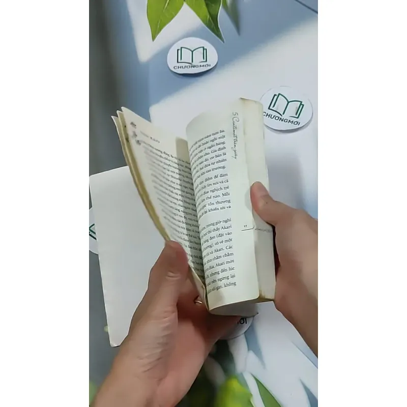 5 Centimet Trên Giây 703127