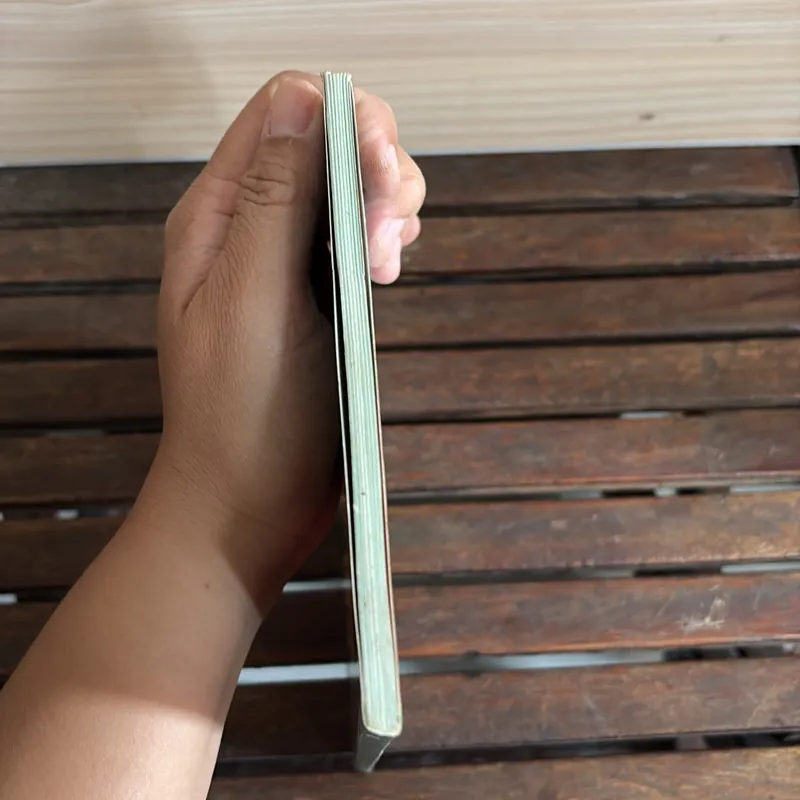 II Cây Cảnh: Xương Rồng Và Cây Mọng Nước (Sách Màu) - Dương Ngọc Hiệp 718585