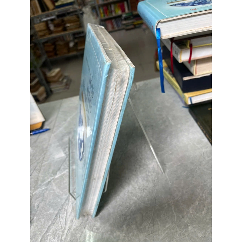 ĐỒ SỨ KÝ KIỂU THỜI NGUYỄN 547081