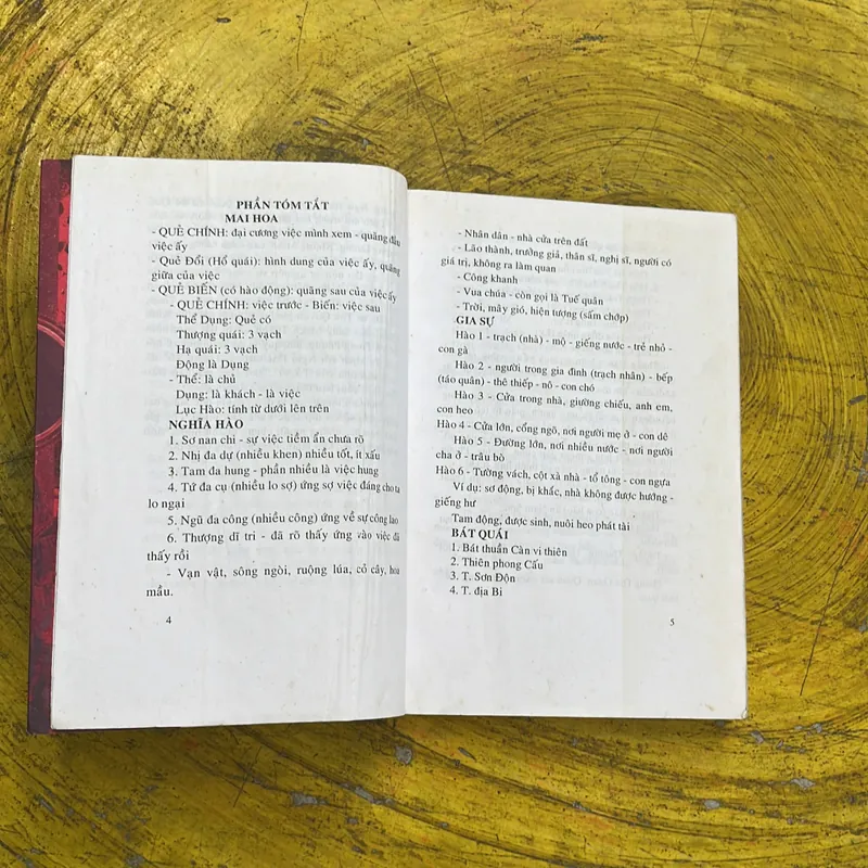 ĐỘN MAI HOA VÀ BỘC PHẾ CHÍNH TÔNG - THIỆU KHANG TIẾT 736180