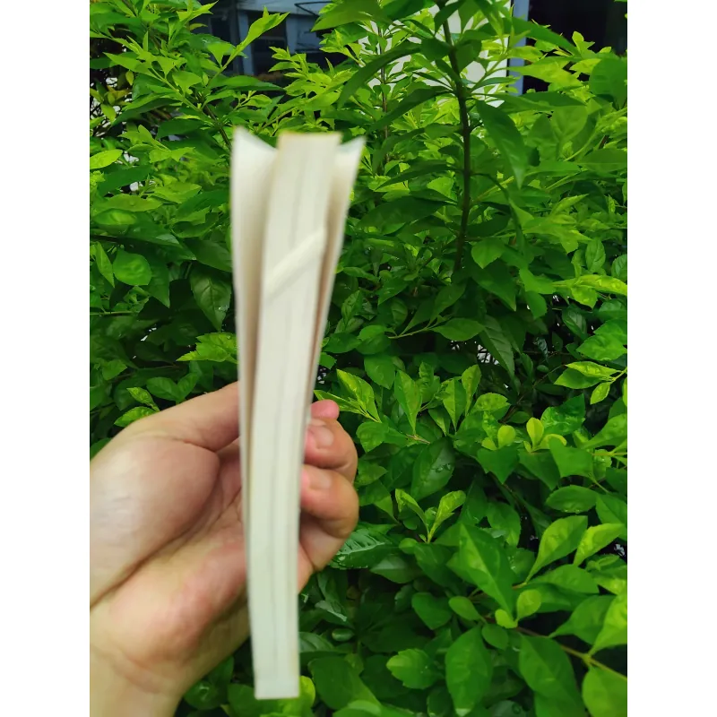 Việt Nam thảm kịch Đông Dương  1000291