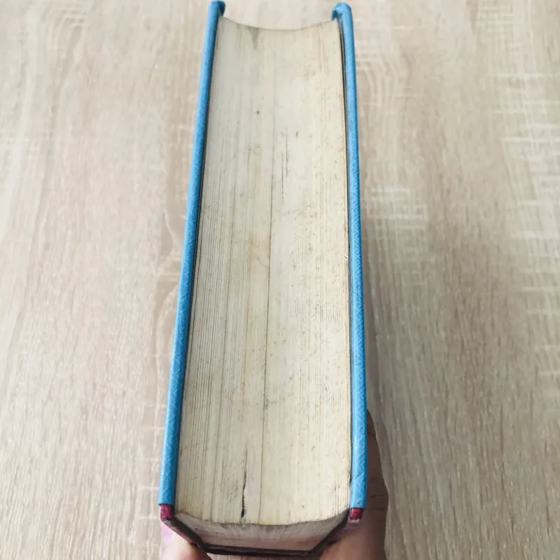 TỪ ĐIỂN HÁN - VIỆT ( Đào Duy Anh) 1000553