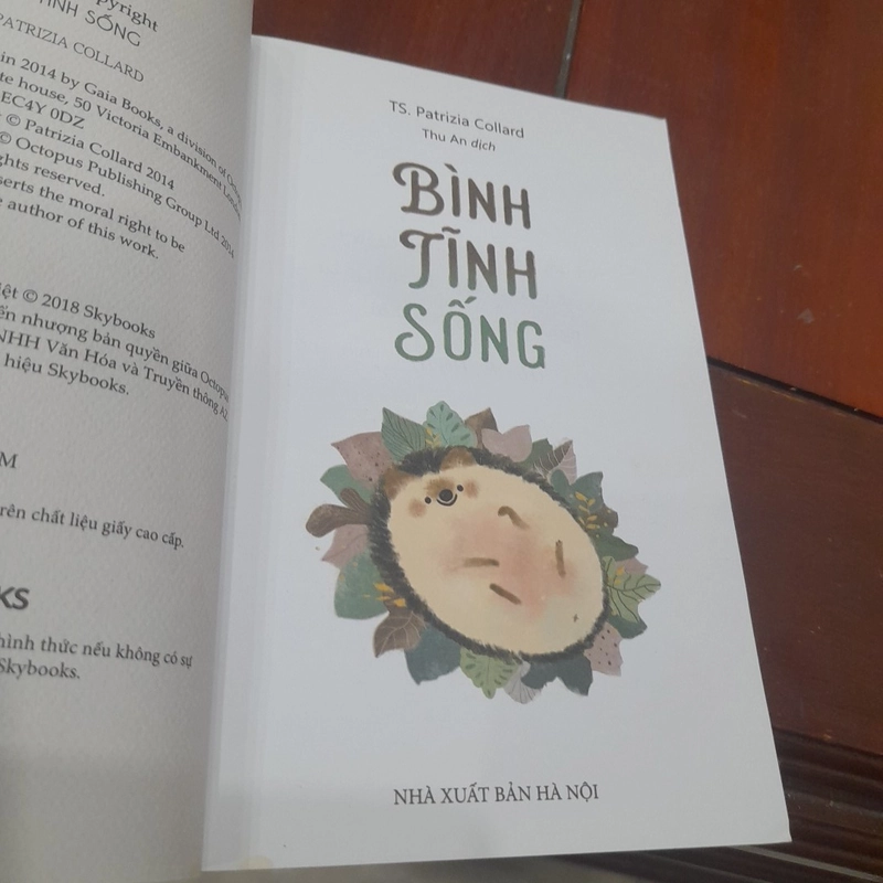 Ts. Patrizia Vollard - BÌNH TĨNH SỐNG 446729