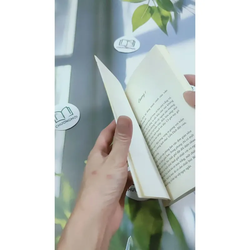 Bến Xe - Thương Thái Vi 744709