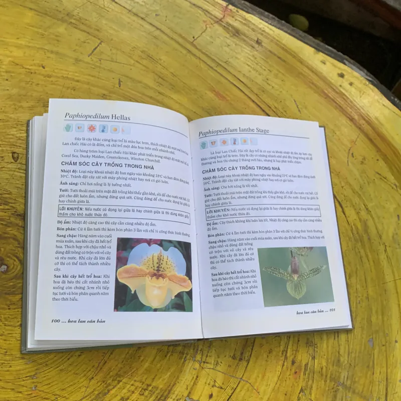 COMBO HOA LAN ( dành cho người mới trồng: bìa cứng) & HÀO LAN CÂY CẢNH mềm bao cấp) 748245