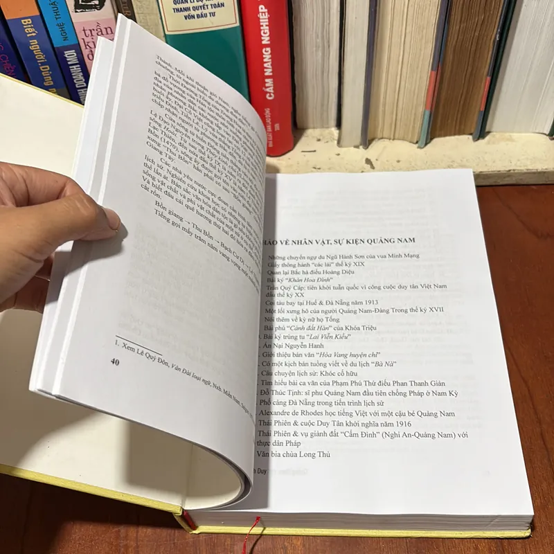 II Sách Hay: Quảng Nam _ Những Vấn Đề Lịch Sử - Nguyễn Duy Sinh - 2013 728548