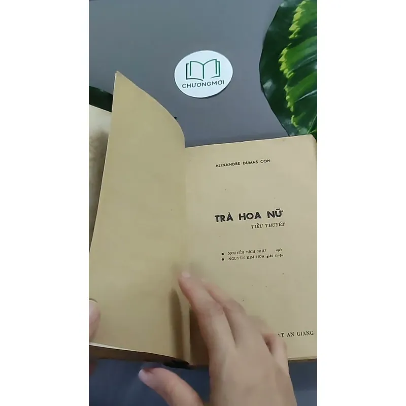 Trà Hoa Nữ 604659