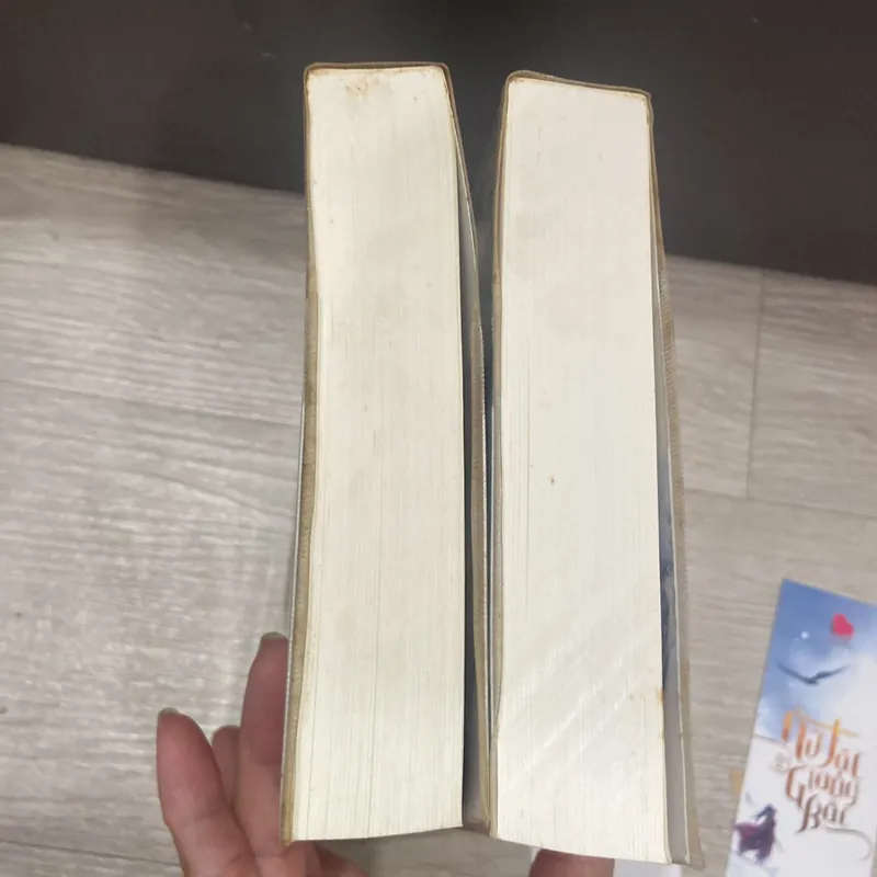 Nữ tặc giang bắc. 537989