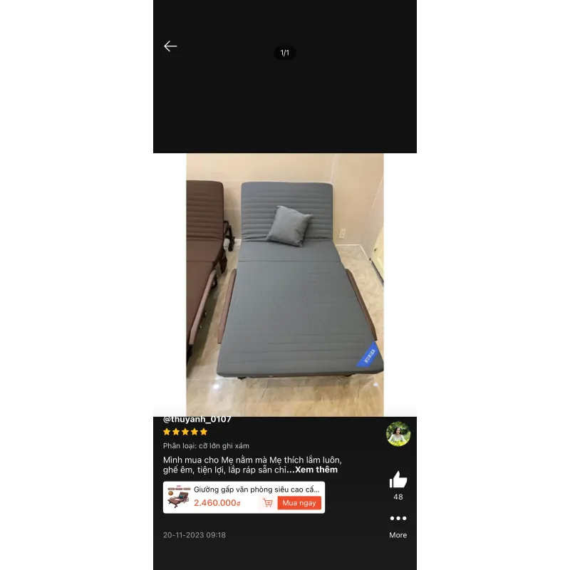 Giường gấp gọn 998463