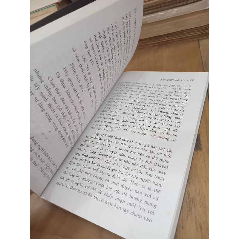 Khu vườn lưu lạc - Nguyễn Vĩnh Nguyên 1004306