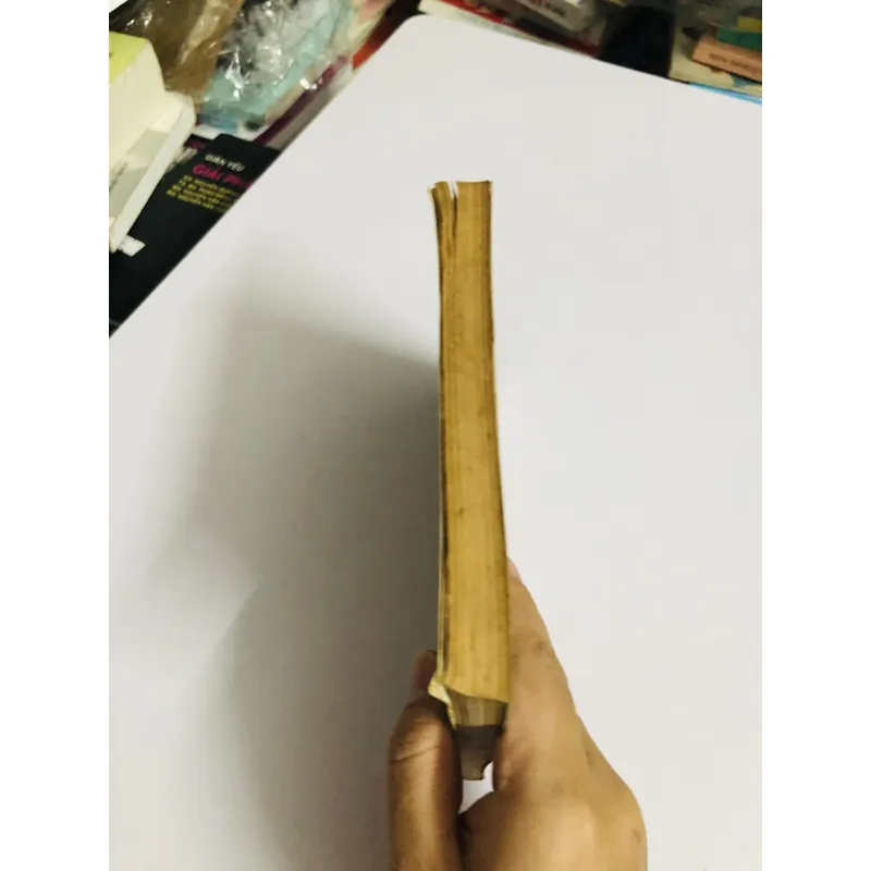 TRANG TRÍ NỘI NGOẠI THẤT THEO THẨM MỸ & PHONG THUỶ PHƯƠNG ĐÔNG  735176